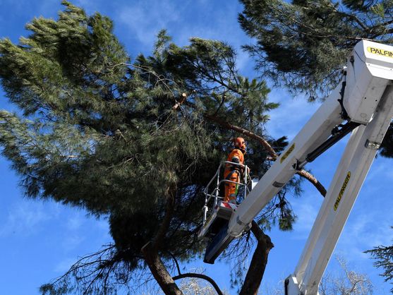 Instaladores de riego automático